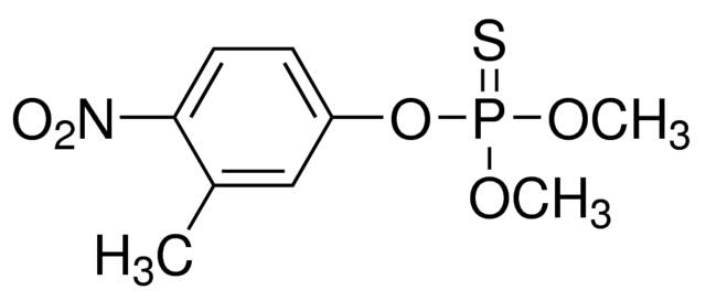 乙腈中殺螟硫磷溶液，100μg/mL